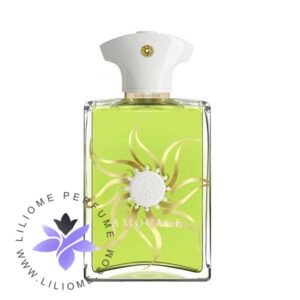 عطر ادکلن آمواج سان شاین مردانه-Amouage Sunshine Men