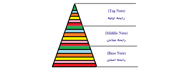 رایحه اولیه میانی اصلی عطر