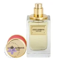 عطر ادکلن دی اند جی دلچه گابانا ولوت رز-Dolce Gabbana Velvet Rose