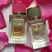 عطر ادکلن دی اند جی دلچه گابانا ولوت رز-Dolce Gabbana Velvet Rose