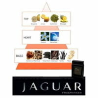 عطر ادکلن جگوار ویژن 3-Jaguar Vision III