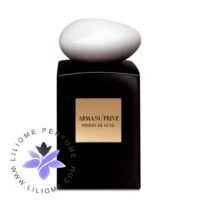 Giorgio Armani Prive Pierre de Lune