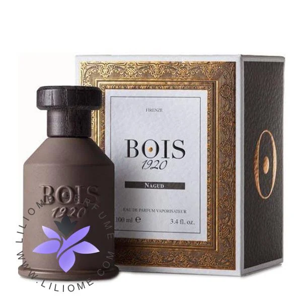 عطر ادکلن بویس ۱۹۲۰ ناگود-Bois 1920 Nagud