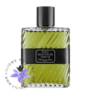 dior eau de parfum 200ml