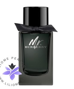 عطر ادکلن باربری مستر باربری ادو پرفیوم-Burberry Mr. Burberry Eau de Parfum