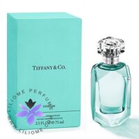 عطر ادکلن تیفانی اند کو اینتنس-Tiffany & Co Intense
