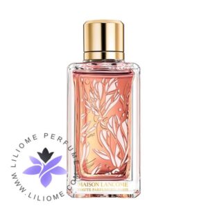 عطر ادکلن لانکوم مگنولیا روسی-Lancome Magnolia Rosae