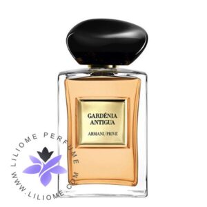 عطر ادکلن جورجیو آرمانی گاردنیا آنتیگوا-Giorgio Armani Gardénia Antigua