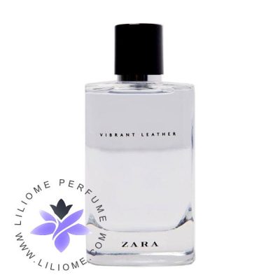 zara leather cologne