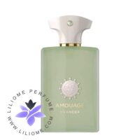 Amouage Meander