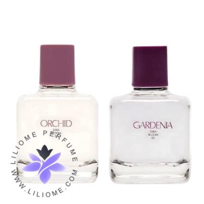 Zara gardenia and orchid