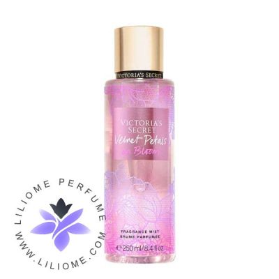 بادی اسپلش ویکتوریا سکرت ولوت پتالز این بلوم | Victoria's Secret Body Splash Velvet Petals In Bloom