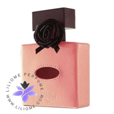 عطر ادکلن دیوید ژورکین کویر ونیتین | David Jourquin Cuir Venitien