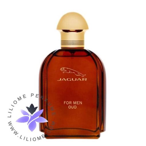 عطر ادکلن جگوار عود مردانه Jaguar For Men Oud قیمت و خرید