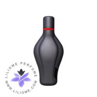 عطر ادکلن اف یک پارفومز پرشیز متال | F1 Parfums Precious Mettle