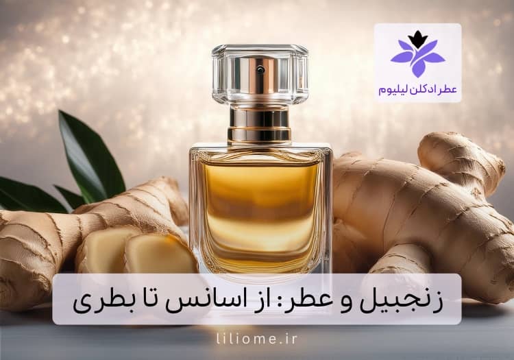 زنجبیل و عطر: از اسانس تا بطری