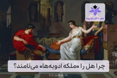 چرا هل را «ملکه ادویه‌ها» می‌نامند؟ 