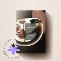 عطر ادکلن آمواج ریزنز _ Amouage Reasons