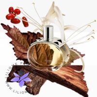 عطر ادکلن هرمس بارنیا _ Hermes Barenia