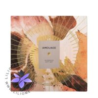 گیفت ست عطر آمواج گایدنس _ Amouage Guidance Gift Set