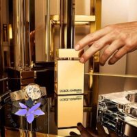 Dolce & Gabbana The One Gold For Men