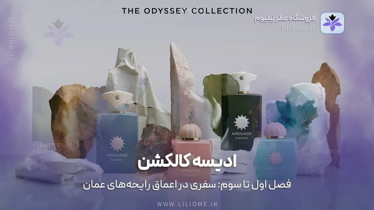 The Odyssey Collection 02