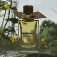 عطر ادکلن باربری گلدن هیز | Burberry Golden Haze