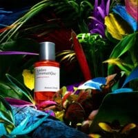 عطر ادکلن میسون کریویلی آمبر کروماتیک | Maison Crivelli Ambre Chromatique