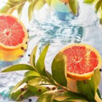 عطر ادکلن روژا داو الیزیوم او اینتنس | Roja Dove Elysium Eau Intense